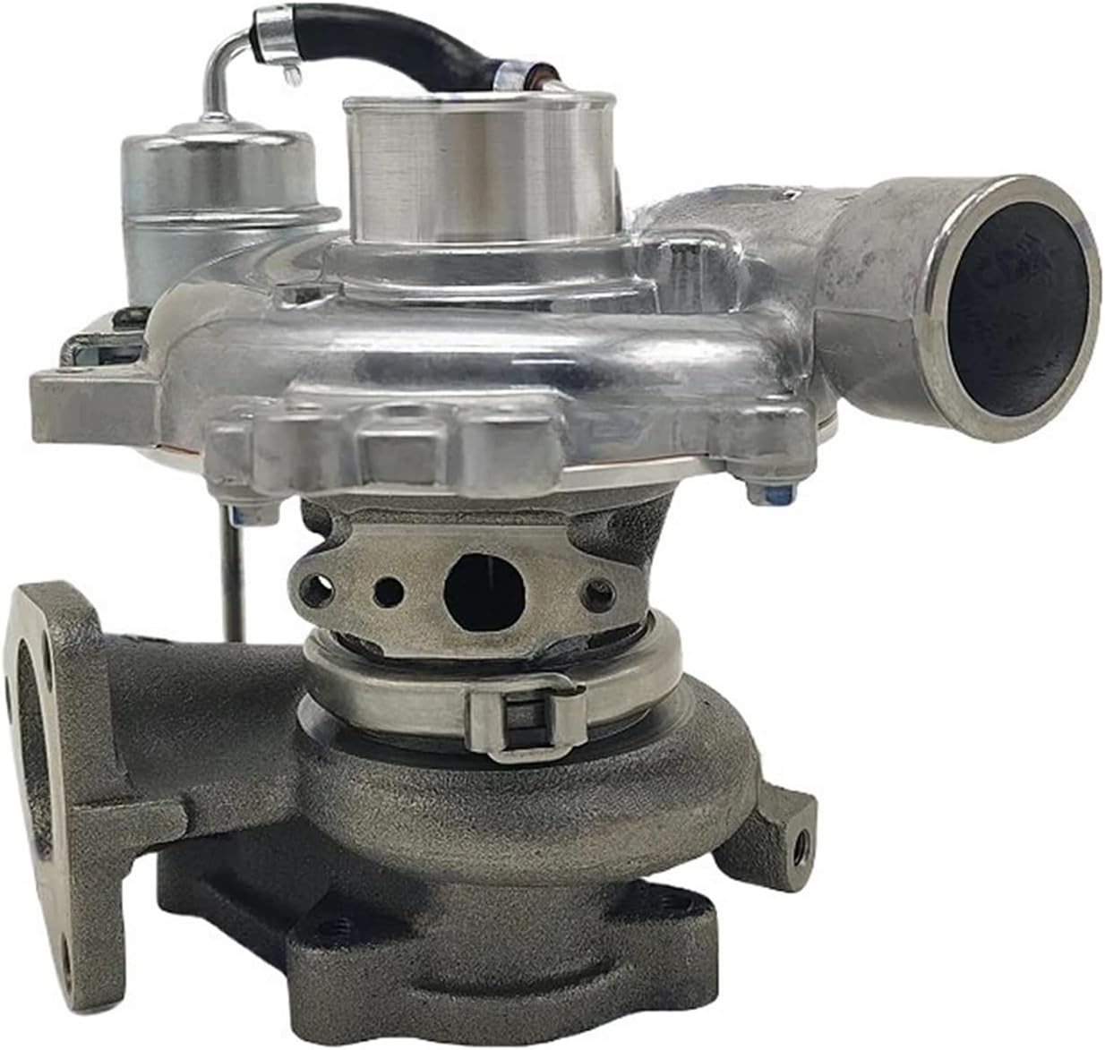 ち*ん様 RockonSocialClubプンスカピン岡本健一セットサイン入り