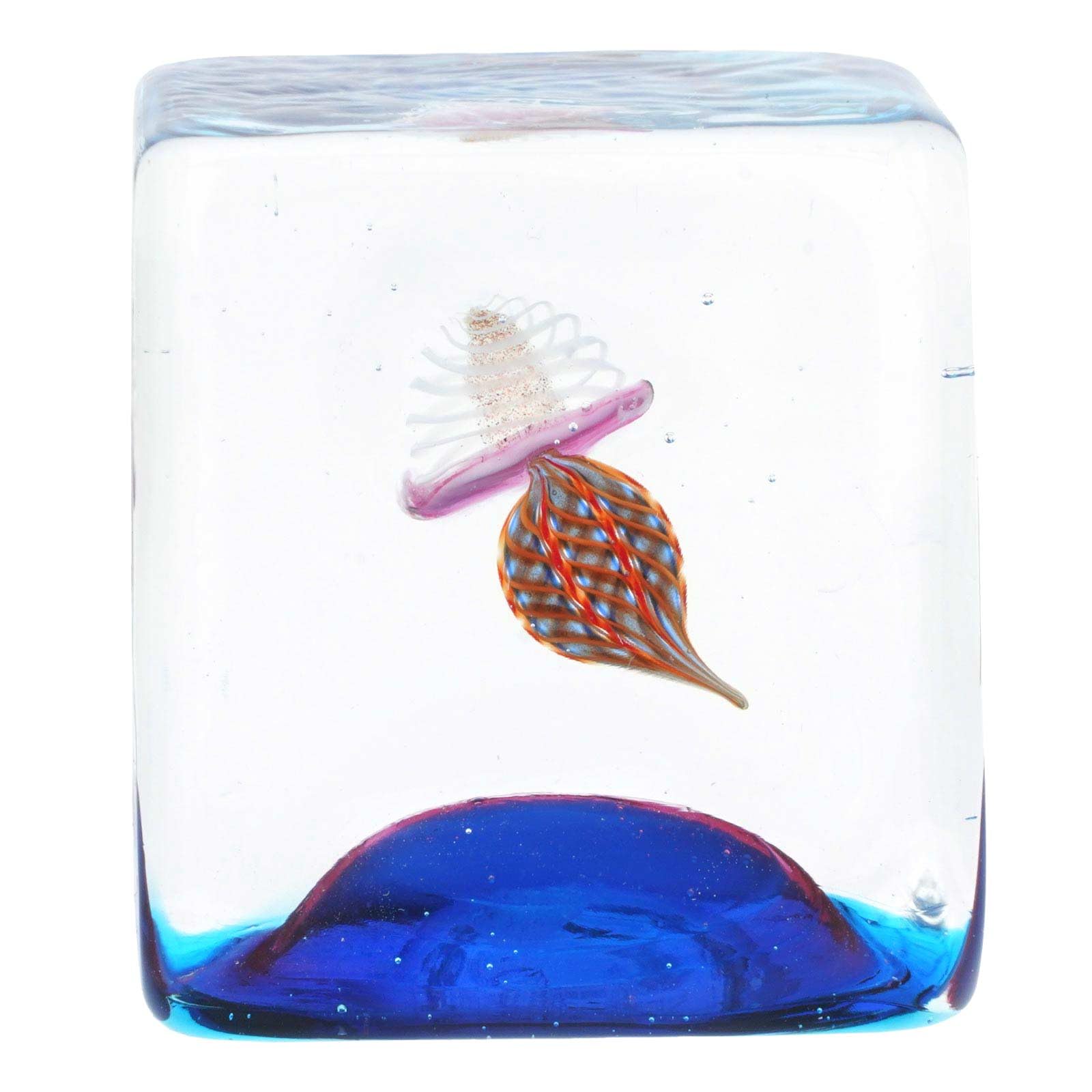 Amazon.co.jp: GlassOfVenice ムラノガラス アクアリウムキューブ