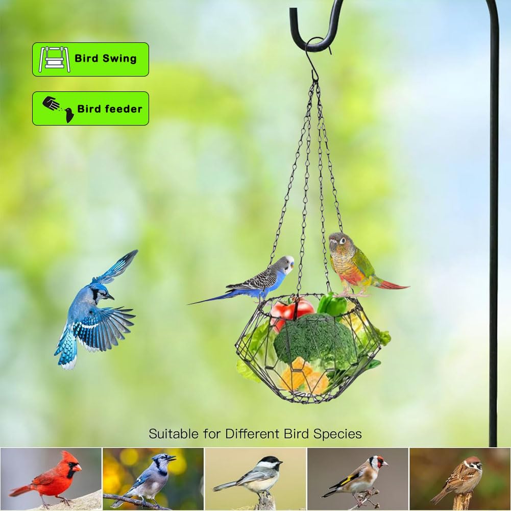 Hanging Bird Feeder Accessories,Foldable Parrot Fruits Vegetables Feeder with 4pcs Adjustable 17inch Hanging Chain,Bird Swing Toys for Parrot Sparrow Oriole,for Courtyard Porch Indoor Outdoor