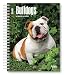 Bulldogs 2018 6 x 7.75 Inch Weekly Engagement Calendar, Animals Dog Breeds Terriers (Multilingual Edition)
