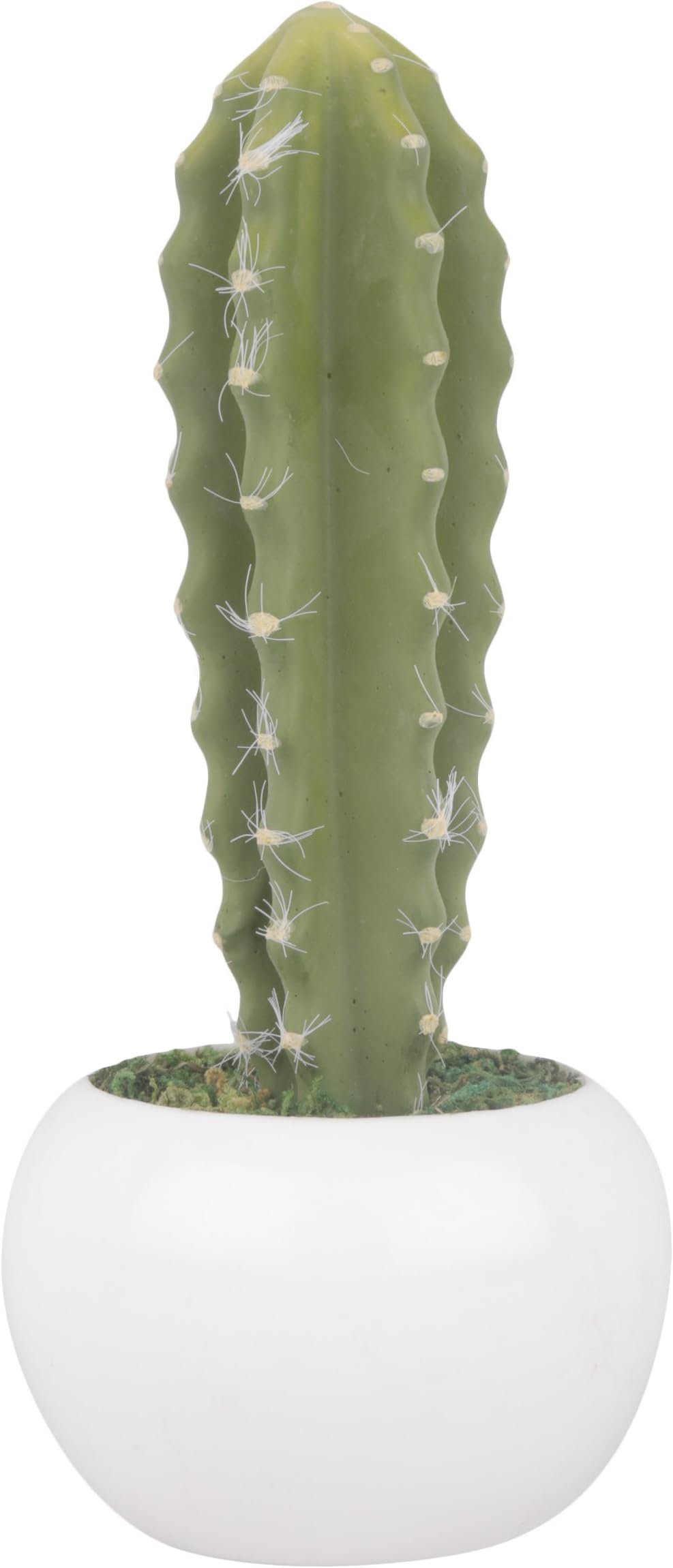 GoodLuck Greenz Premium Quality Artificial Cactus Bonsai with Melamine Pot (5 cm x 8 cm x 22 cm, Green, GNZ0039)