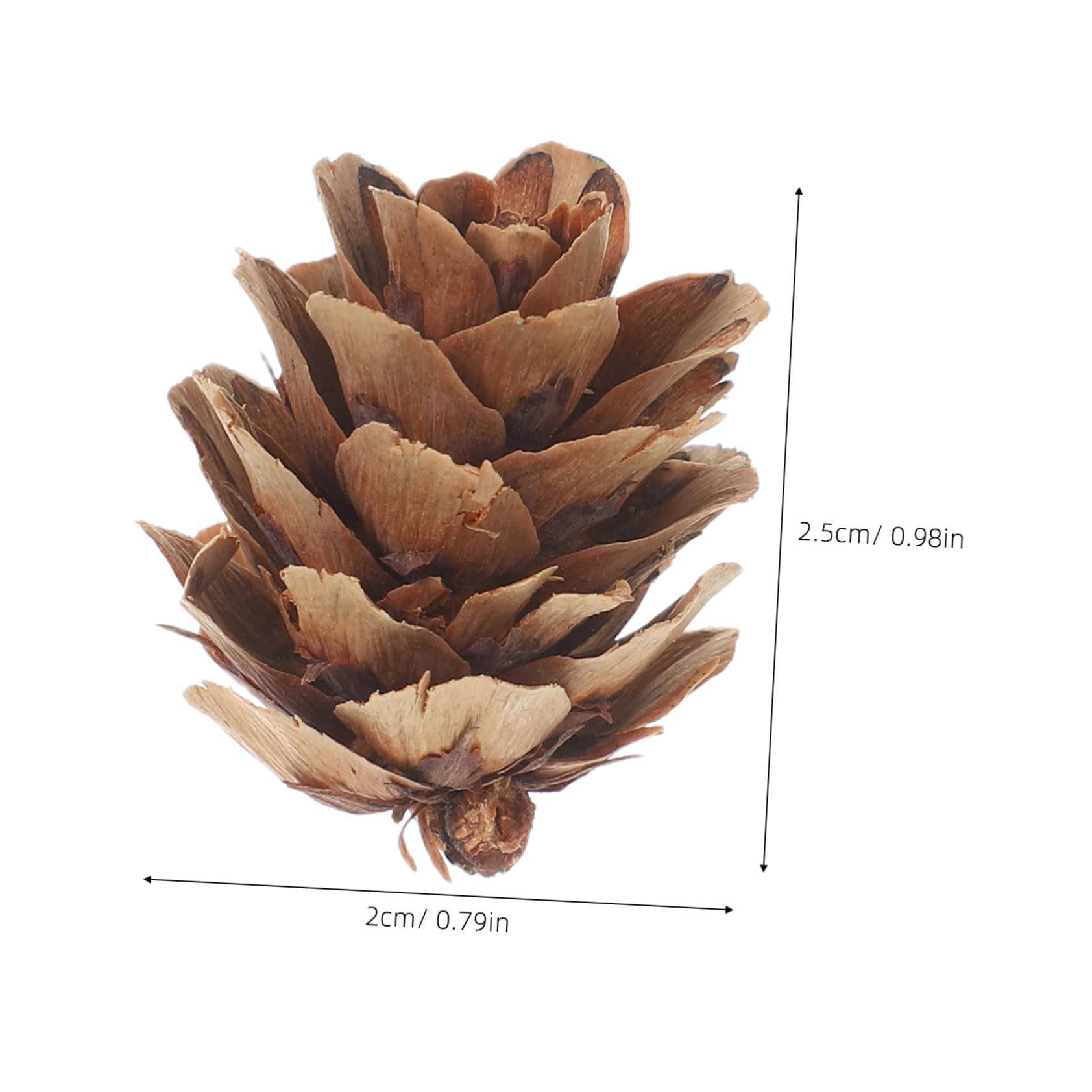 Amosfun Pigne Decorative Natalizie Dorate Naturali per Decorazioni di Casa Rustiche Ornamenti per Albero di Natale Abbellimenti Fai da Te per Festività