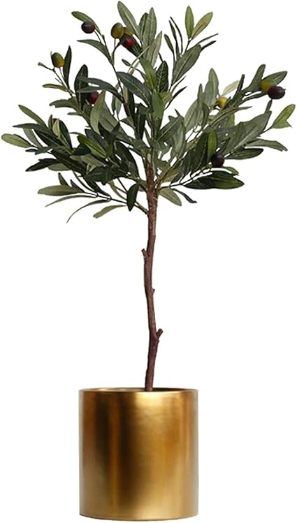 Amazon 造花鉢植え観葉植物 装飾的な容器の植物の偽のオリーブの葉の大きな家の床の人工的な緑の植物の装飾的なオリーブの木の葉の大きい家の床の鉢植え 2 3フィート 造花ののどの植物 Color A 人工観葉植物 オンライン通販