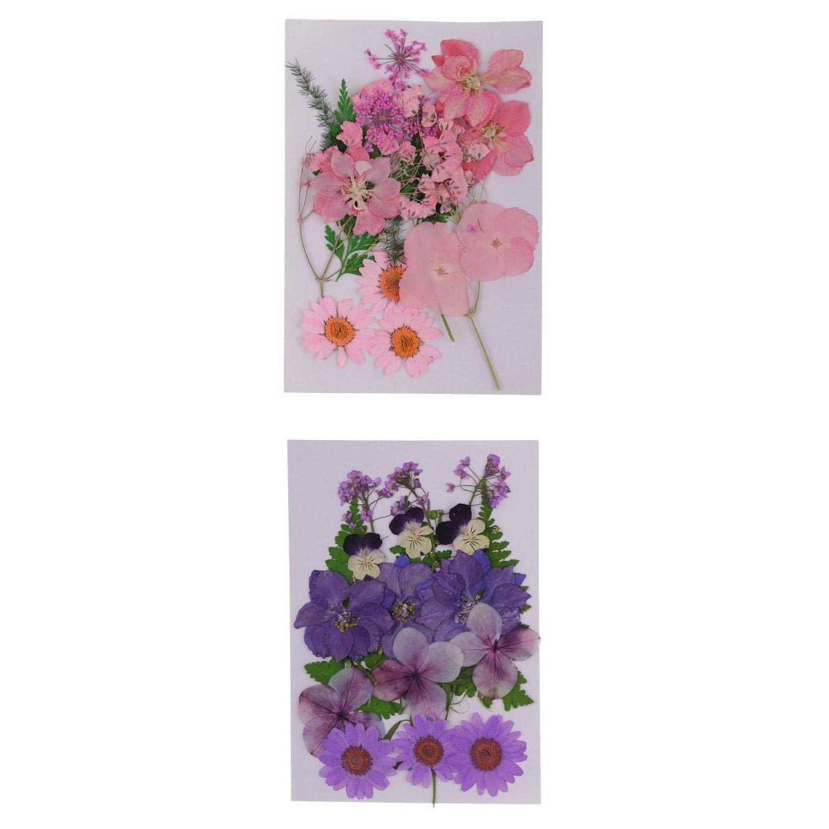 Bnf® 2Pcs Multiple Natural Pressed Dried Flowers Leaves DIY Art Craft Decorations Crafts | Home Arts & Crafts | Floral Crafts | Dried Botanicals & Potpourri | Dried Flowers-picture-24