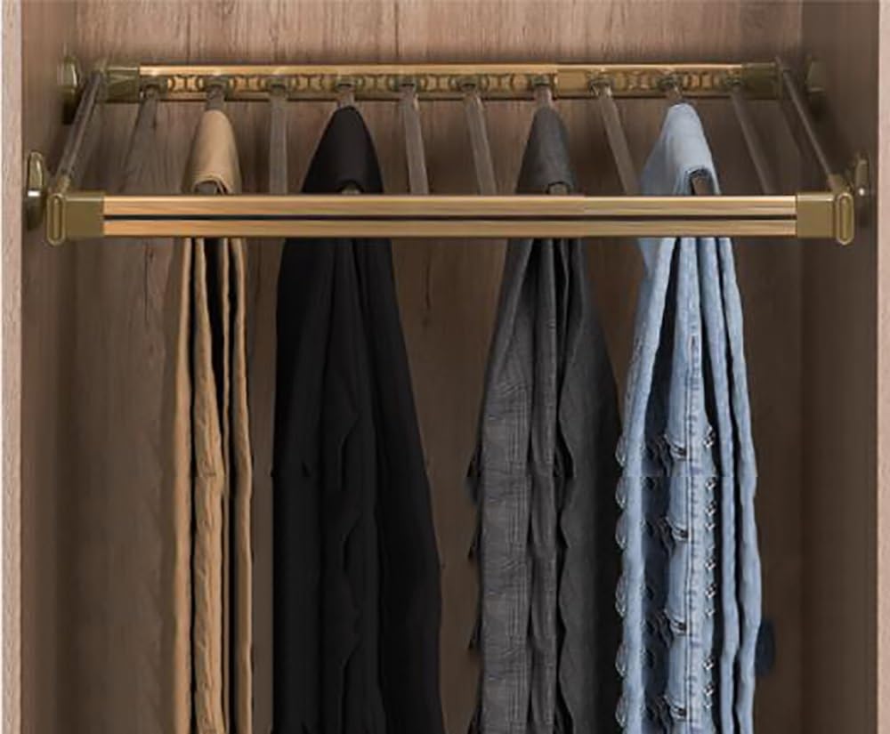 Pull Out Clothes Hanger Rack, Pull Out Closet Pants Rack Trousers Hanger Adjustable Wardrobe Clothing for Pants Clothes, Trousers Rack Drawer(Gold,Small)