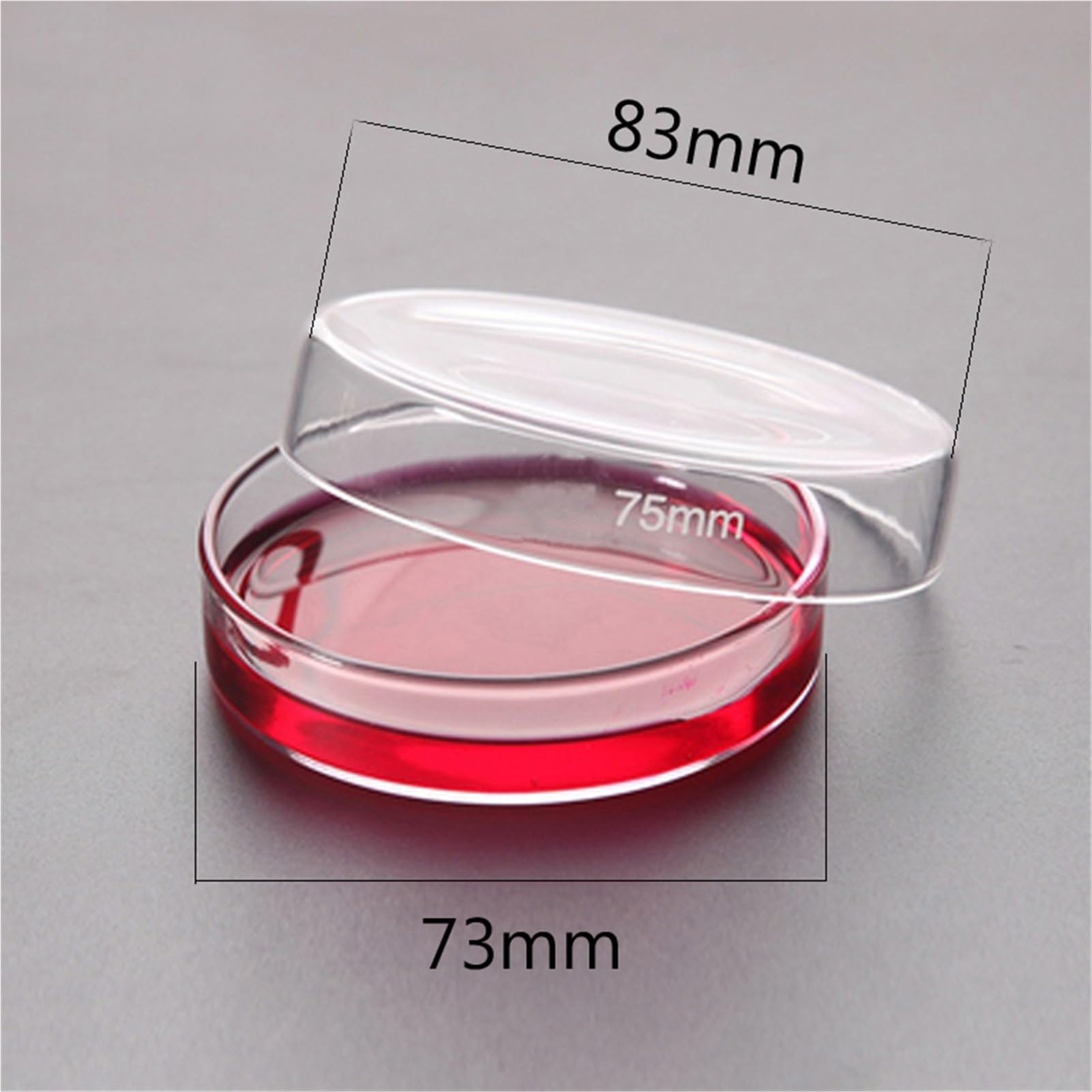 Paquete de 10 placas Petri de vidrio Boro de 75 mm, asequibles para celdas transparentes químicas utilizadas para el cultivo de bacterias