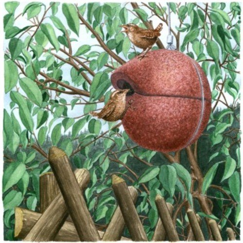 SCHWEGLER Zaunkönigkugel Nistkugel'Herbstlicht' Rot