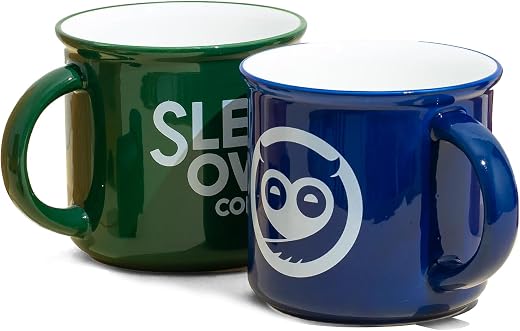 Sleepy Owl Ceramic Mugs Set of 2 | 350ml Capacity | Microwave Safe | Handcrafted | Large, Stylish Coffee Cup | Tea, Coffe...