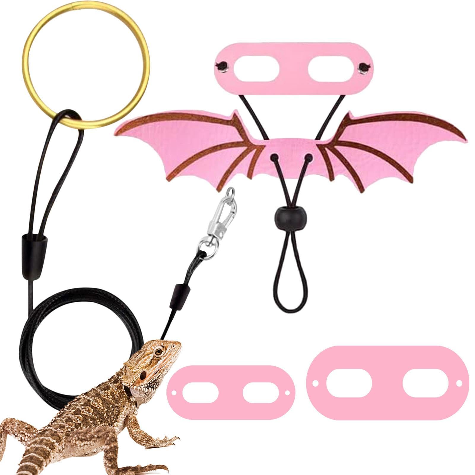 Amazon.co.jp: フトアゴヒゲトカゲハーネス | フトアゴヒゲトカゲ 