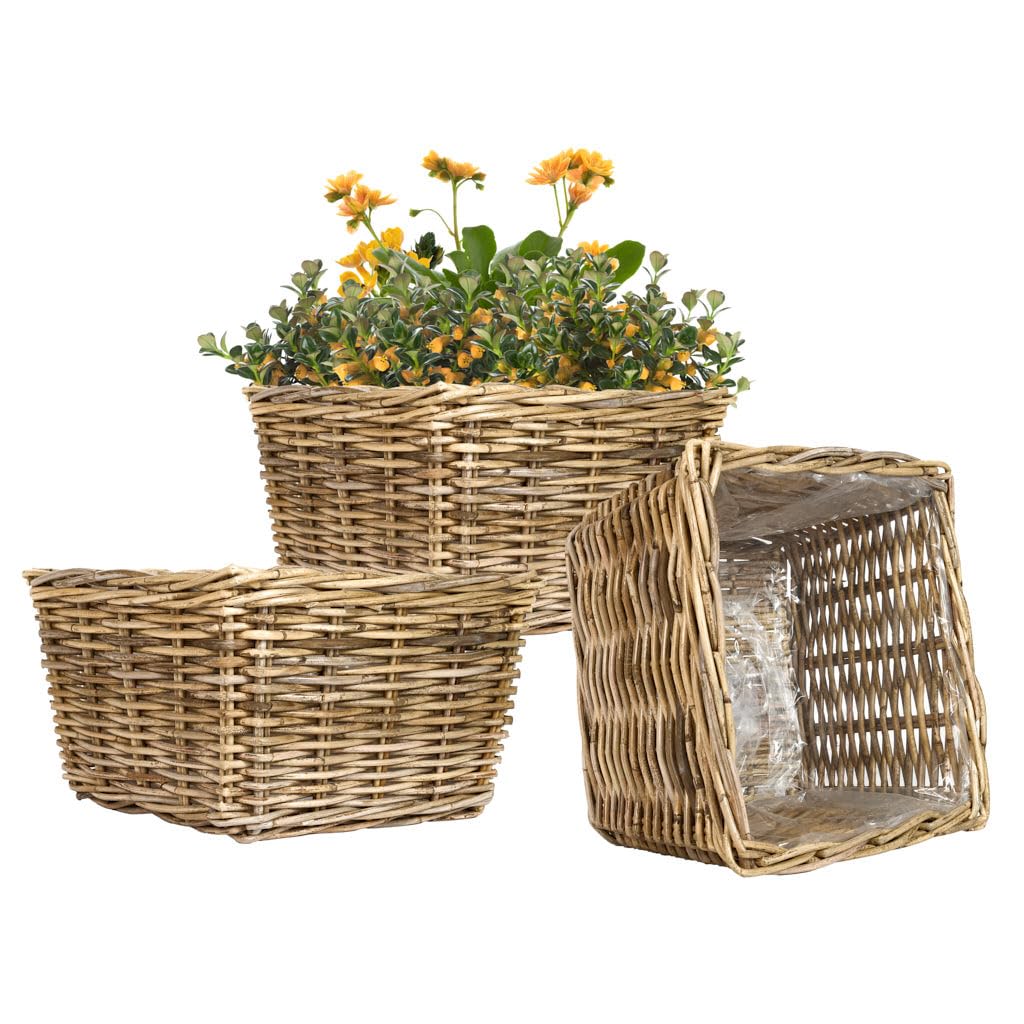 Willow Wicker Planter Set of 3 Rattan Planters with Handles (Square, XL)