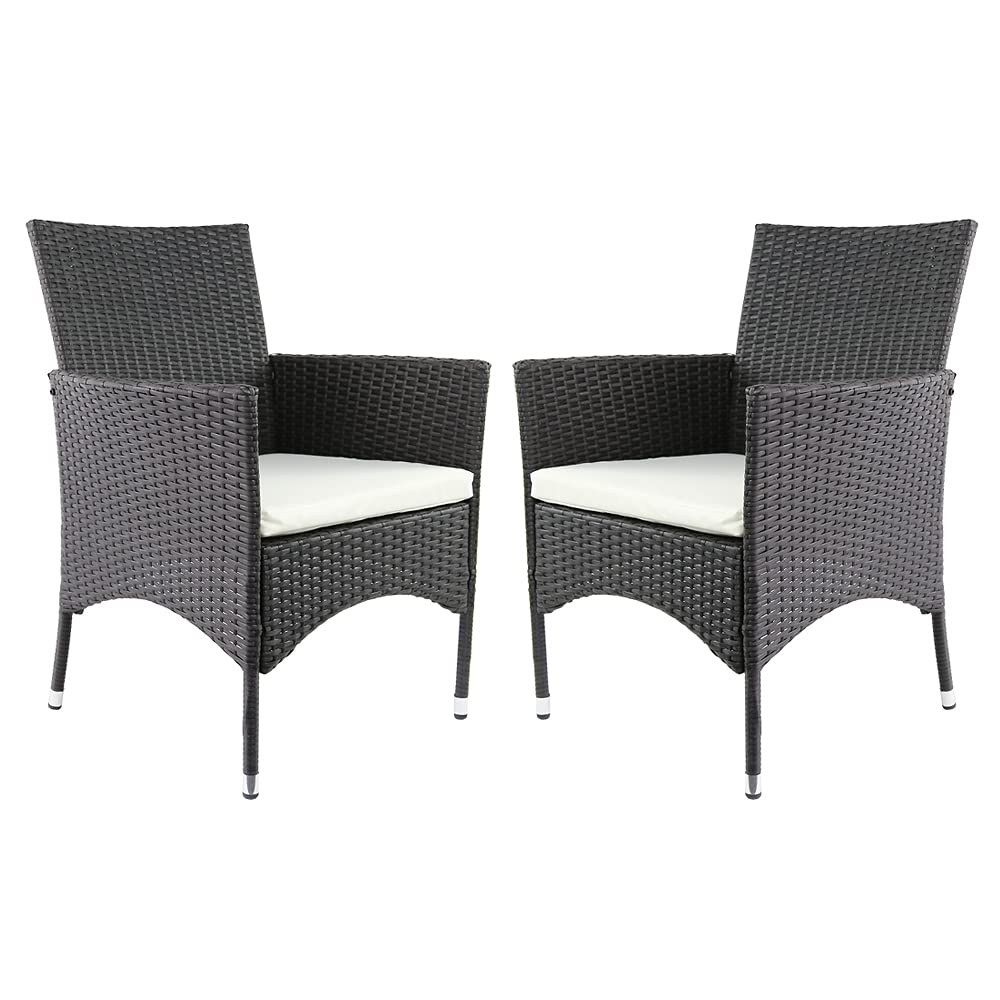 Amazon Brand - Ravenna Home Set of 2 Chairs 