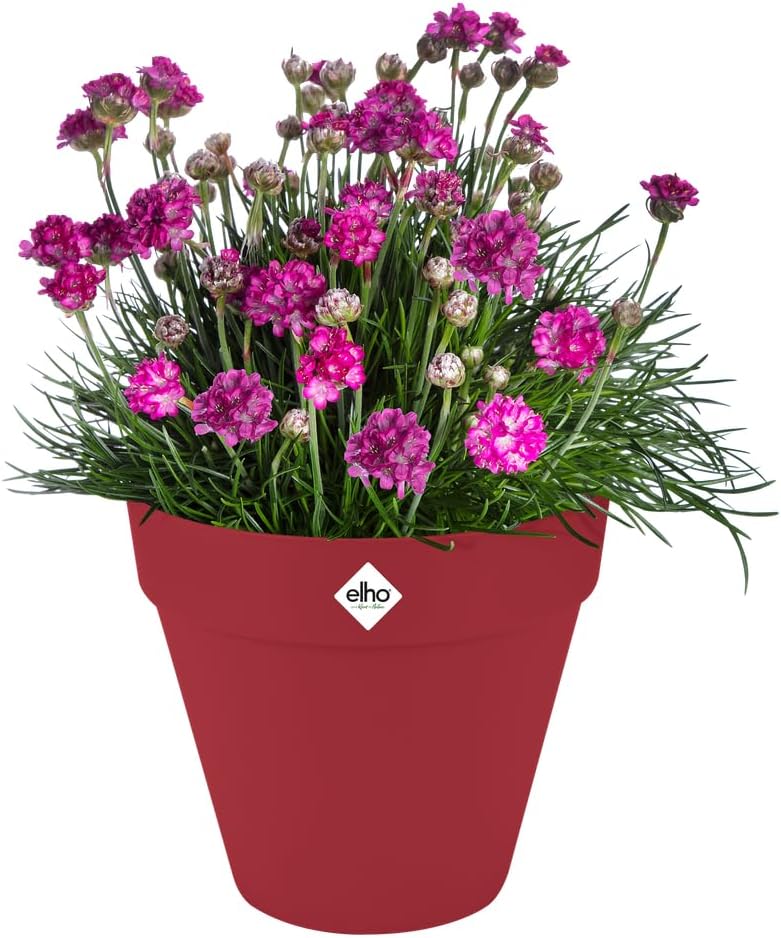 elho Loft Urban Round 20 Flower Pot for Outdoor Use Diameter 19.3 x Height 17.5 cm Red/Theatre Red