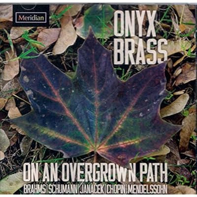 Onyx Brass: On An Overgrown Path