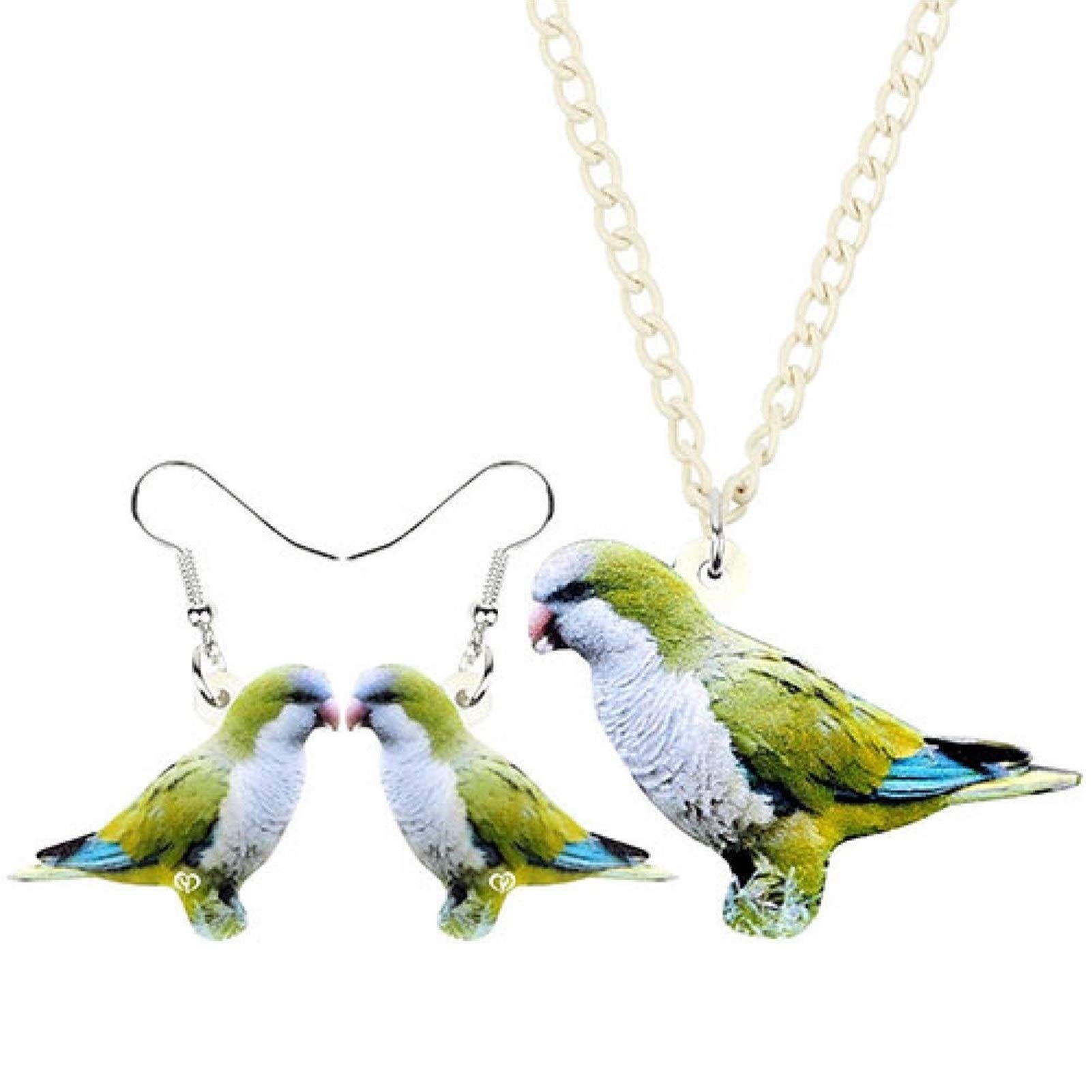 parakeet shop