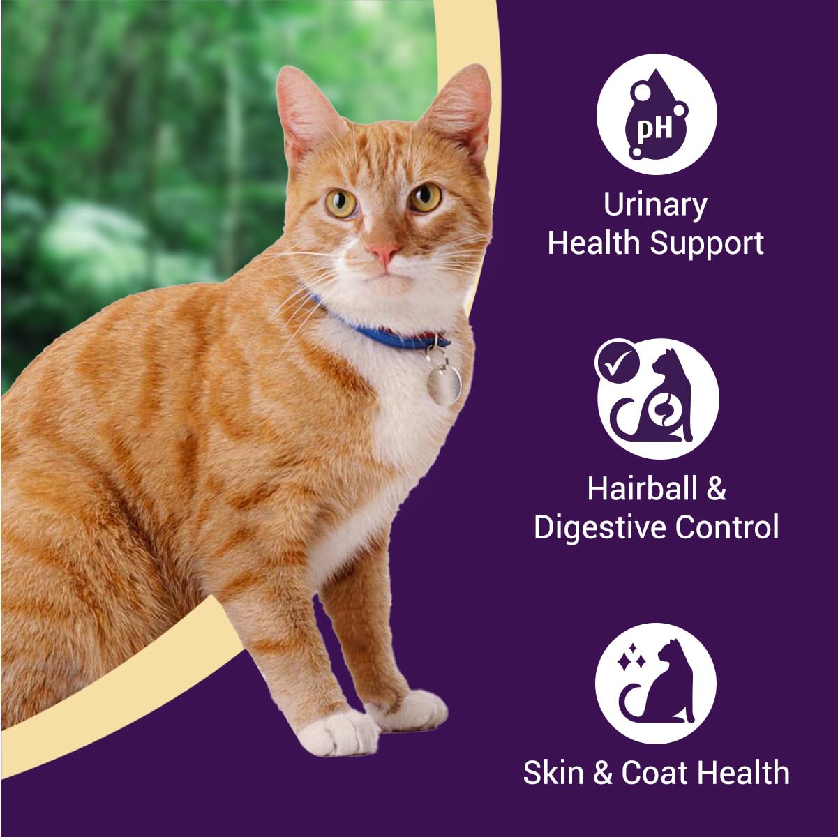 Purrfeto Adult Dry Cat Food | Chicken & Salmon | 7 kg |40% Reduction in Urinary Track Diseases |Anti Hairball Formula |Healthy Skin & Coat |Improves Digestive Health 1