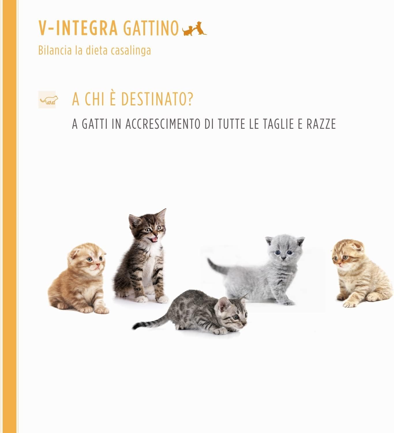V-INTEGRA Gattino - Integratore Completo Ricco di Vitamine e Minerali, per la Dieta Casalinga del gatto cucciolo - 200g - Made in Italy