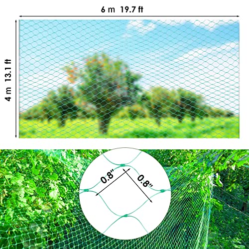 Ruolan Bird Netting For Garden Protect Vegetable Plants And Fruit Trees,Plastic Trellis Netting For Birds, Deer,Squirrels And Other Animals #TOP3