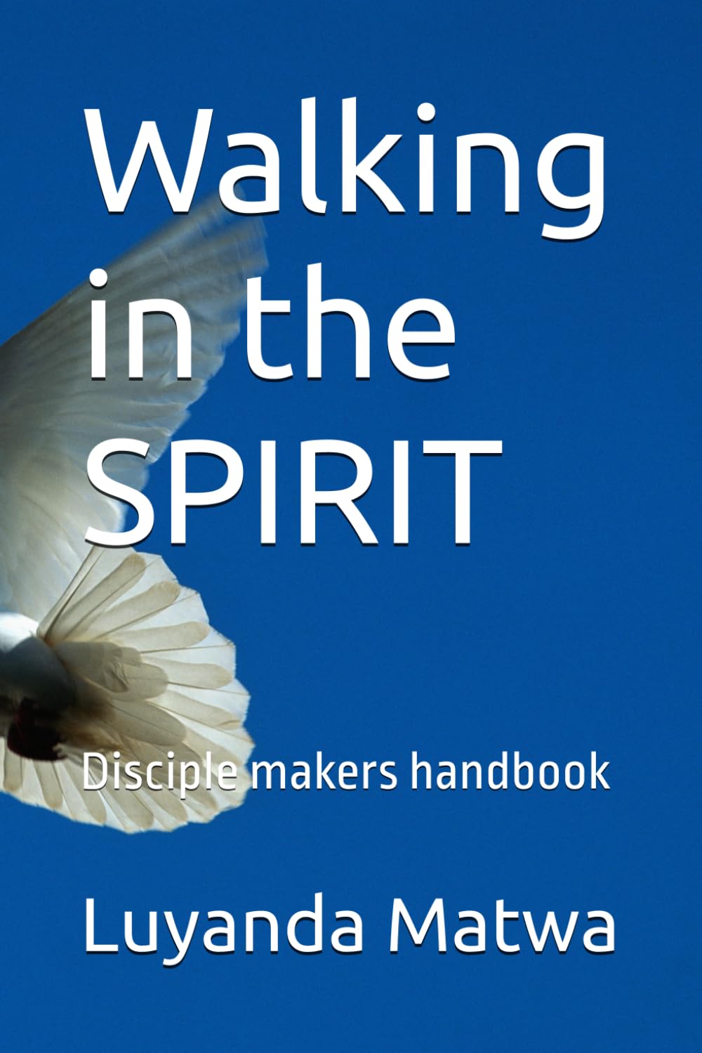 Walking in the SPIRIT: Disciple makers handbook: 2 (Communion of the HOLY SPIRIT, and the fellowship with the FATHER and HIS SON, JESUS CHRIST)