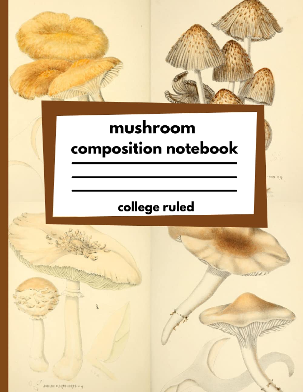 Mushroom Composition Notebook College Ruled: beautiful college ruled collection of wild mushroom from the mycologic flora of the Miami Valley ... gift for fungi foraging& mycology lover