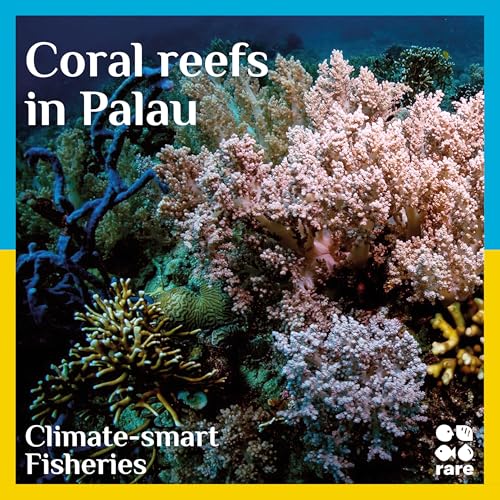 Conserving coral reefs in Palau