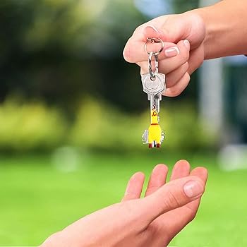 Amazon.co.jp: [Adorainbow] びっくりチキンストラップ 3 パック