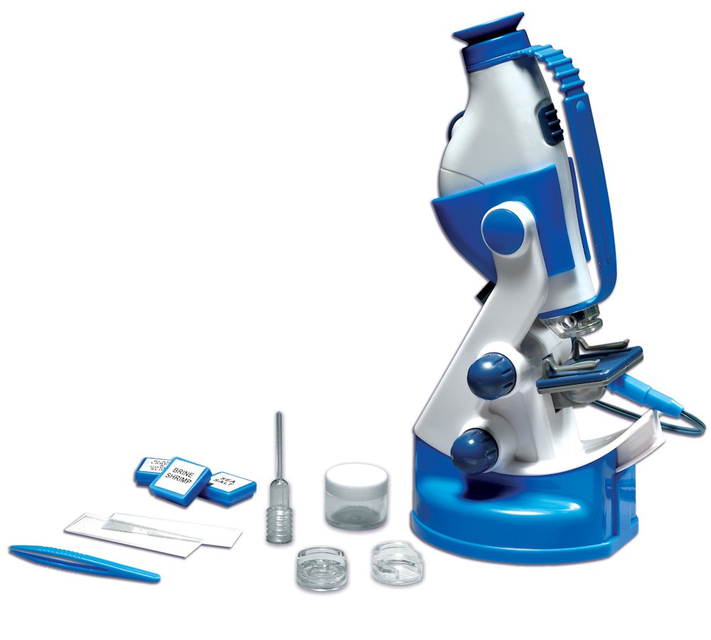 定価12万 graf × scope / messy メッシー　メープル graf × scope / messy メッシー メープル messy | SCOPE (スコープ)