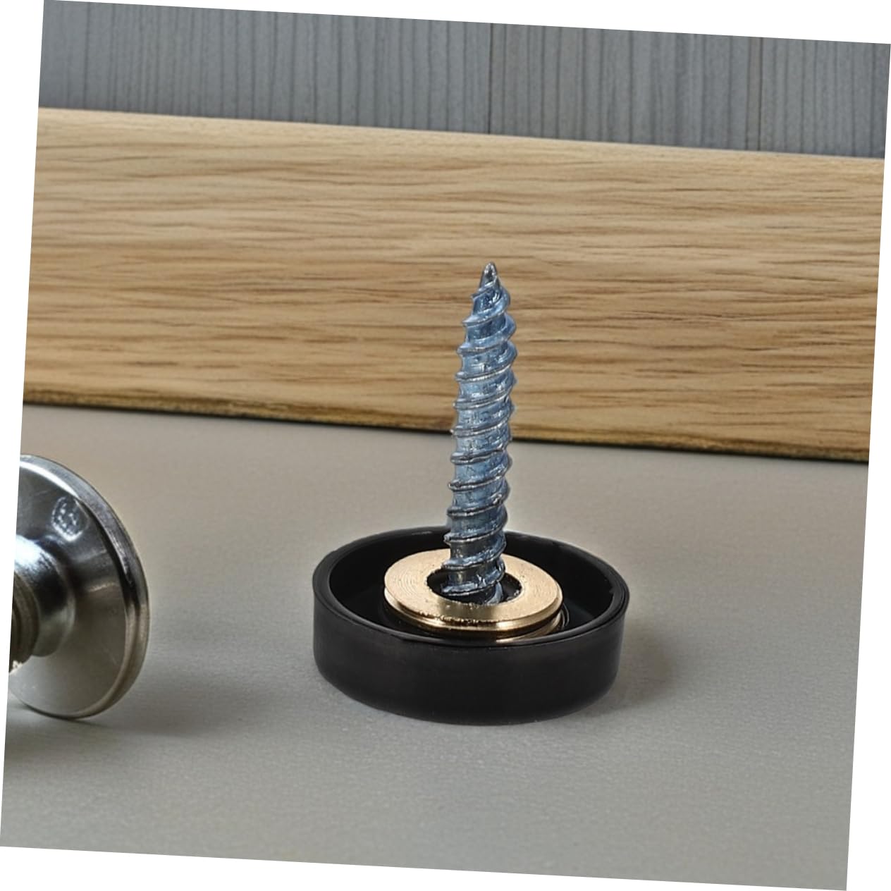 12 Pcs Decorative Mirror Screws Black Caps Stainless Steel 16mm