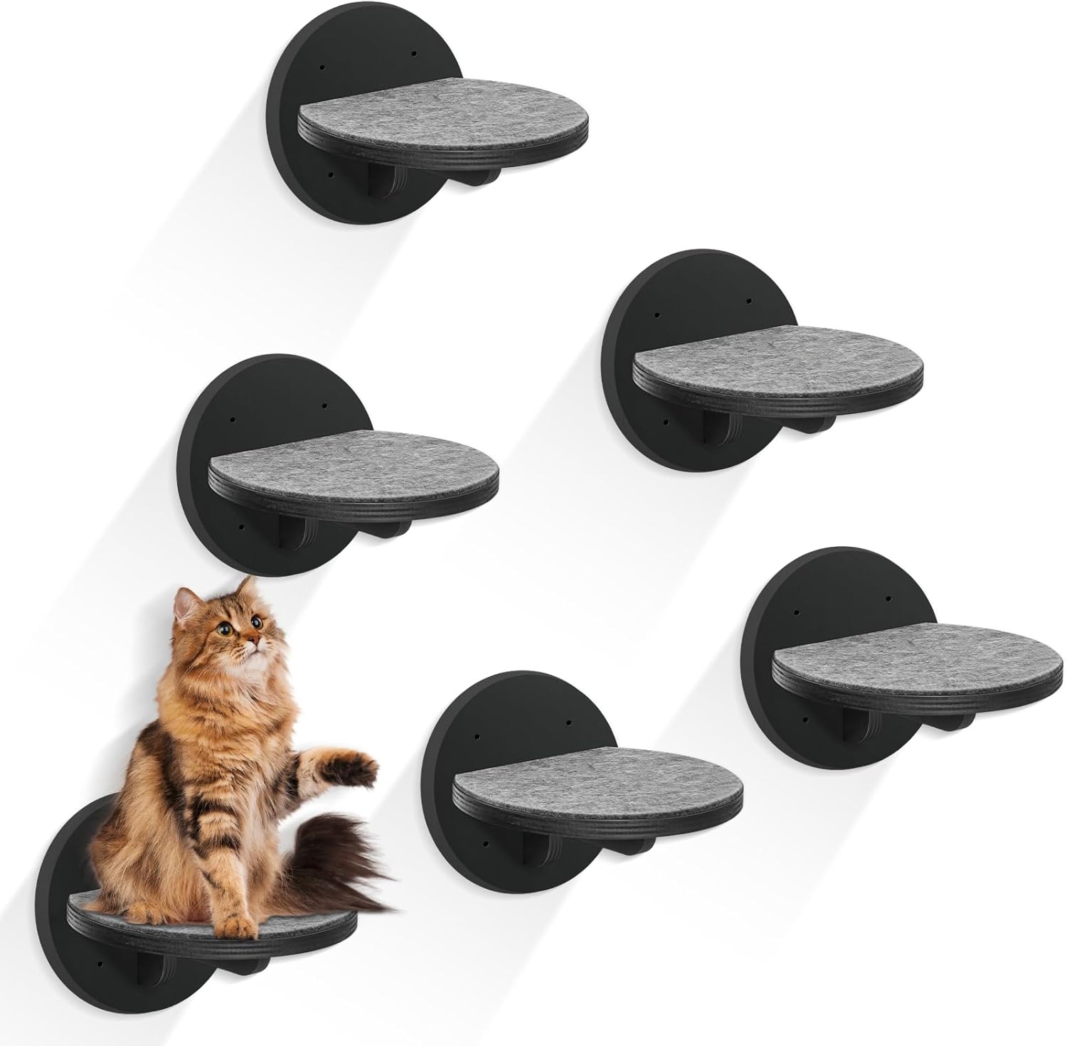 Cat Wall Shelves Furniture Set of 6, Wooden Cat Steps for with Scratching Pad, Sturdy Floating Climber Ladder Stairs, Cats Climbing Wall Systems for Cats Sleep Climb Play