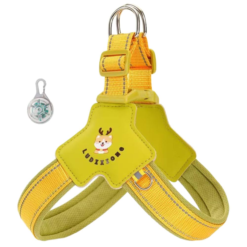 This Y-shaped anti-pull dog harness is designed specifically for Dachshund, featuring an LED light and reflective strips, and a comfortable, breathable, padded vest. green S