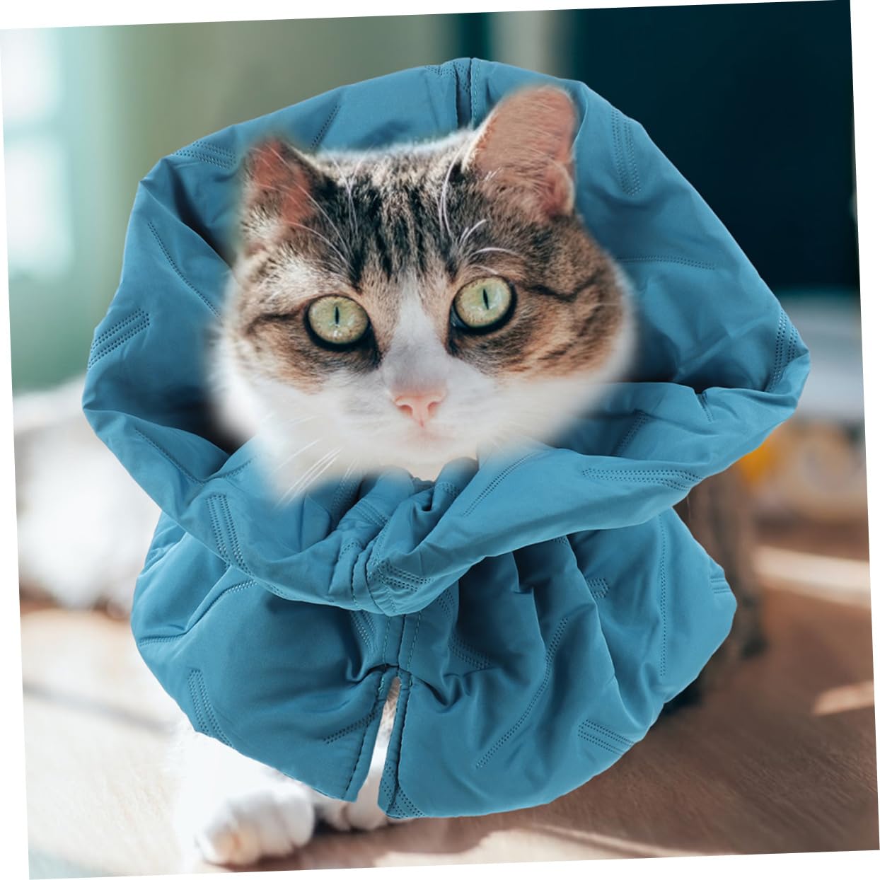 BESPORTBLE 3pezzi Collare Elisabettiano Morbido Per Gatti Protezione Post-operatoria Comfort Assoluto e Design Elegante Per Prevenire Leccature Sfumato
