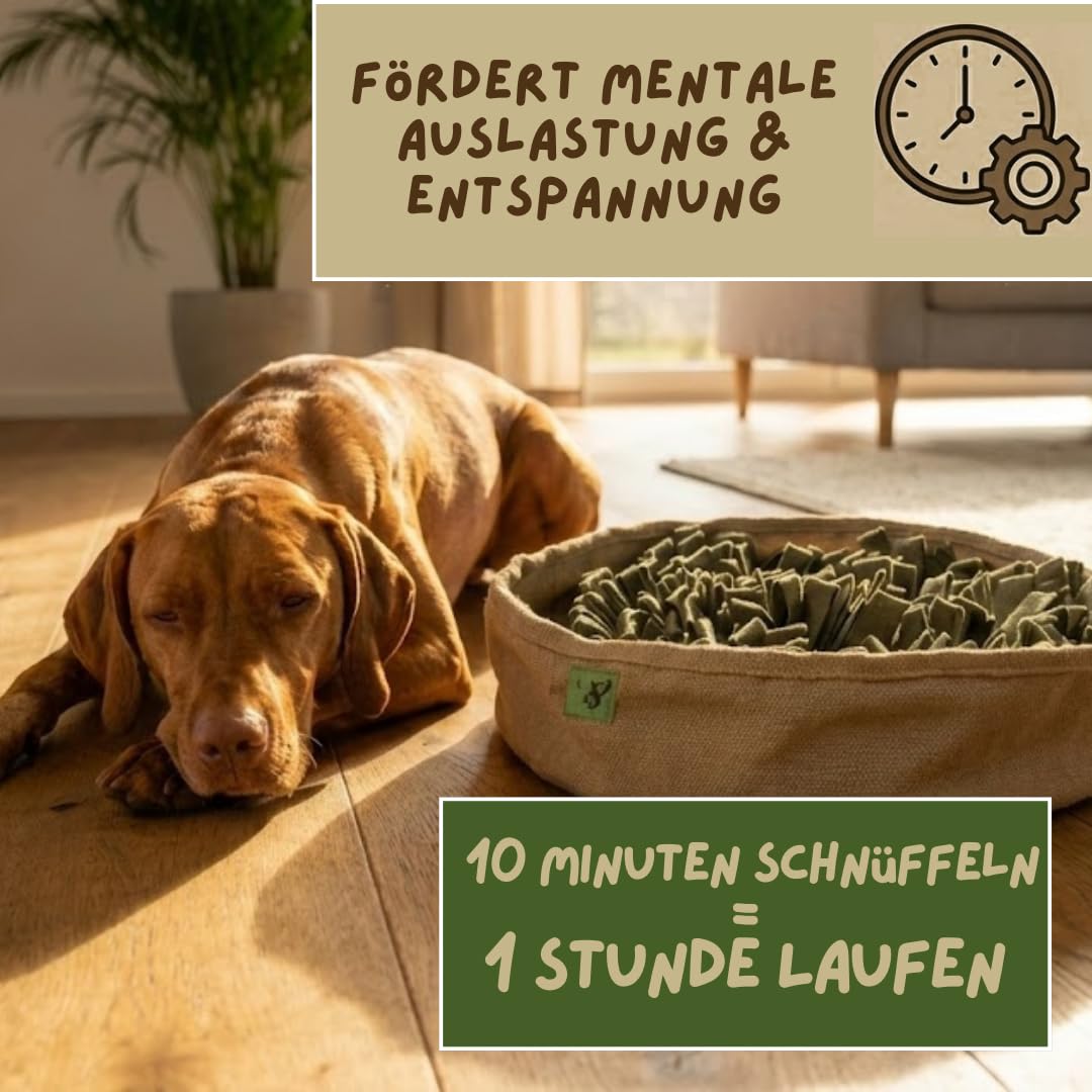 Hanf Schnüffelteppich für Hunde | 100% pflanzlich (82% Hanf, 18% Baumwolle) | Nachhaltig, robust & hochwertig | Nasenarbeit, Stressabbau & Intelligenzspielzeug für Hunde