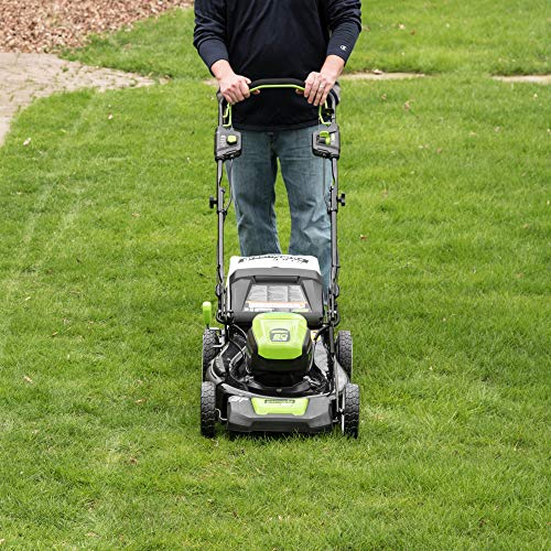 Greenworks Pro GLM801602 80-volt Cordless Battery-Powered Electric Lawn