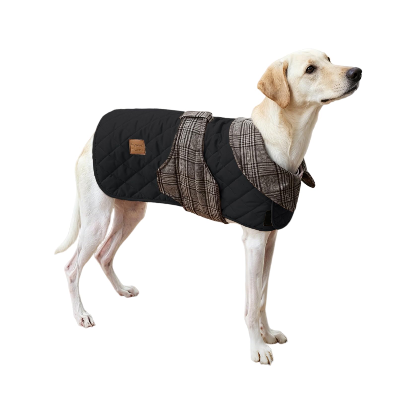 Manteau pour chien veste coupe-vent matelassée réversible hiver taille S