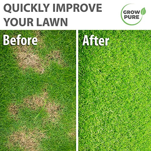 Grass Seed (1kg Covers up to 60 sqm) Fast Growing Grass Seed for Quick Lawn Patch Repair and New Lawns. 1kg Hard Wearing Suitable for Shade and UK Climate.