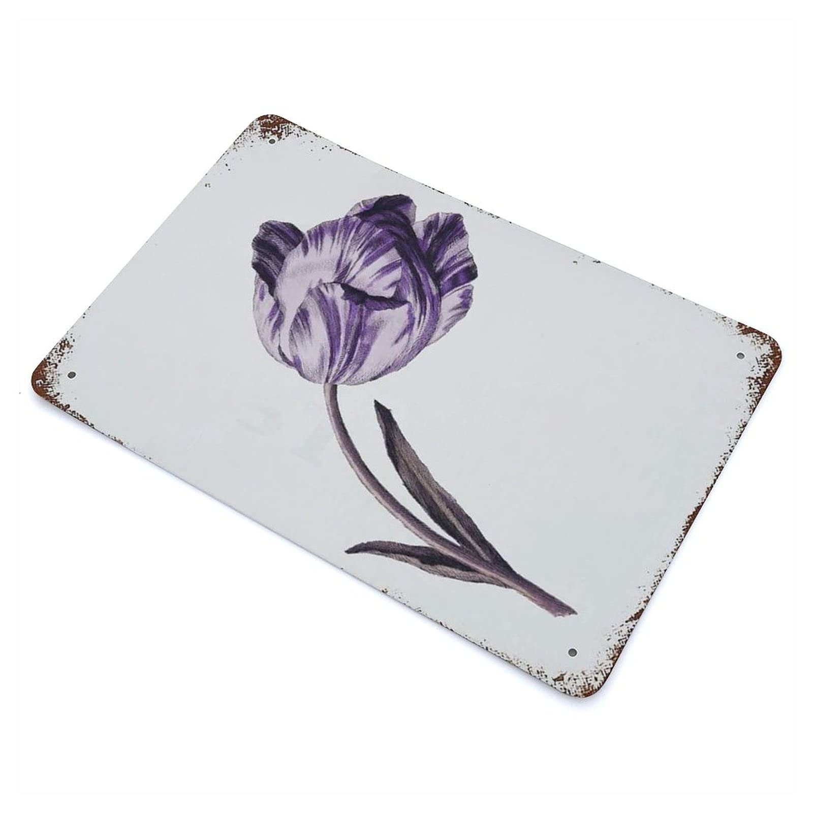 Targa In Metallo Vintage Con Stampa Botanica Tulipano – 30,5x40,6 Cm – Cartello Decorativo Per Parete, Impermeabile, Adatto A Casa E Giardino, Regalo Per Appassionati Di Fiori