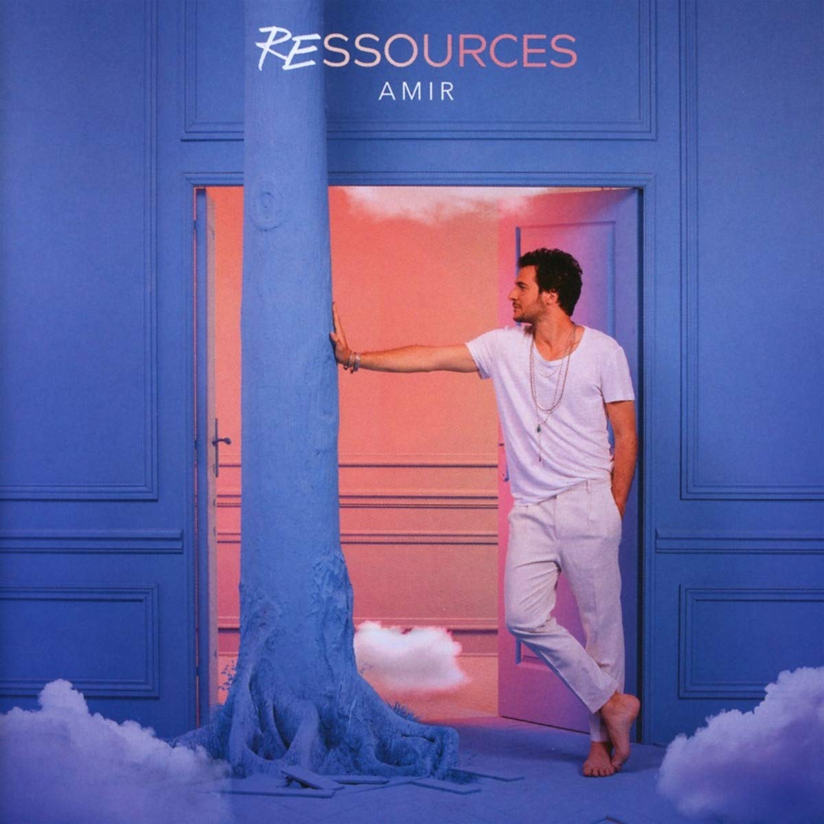 Ressources [Audio CD] Amir