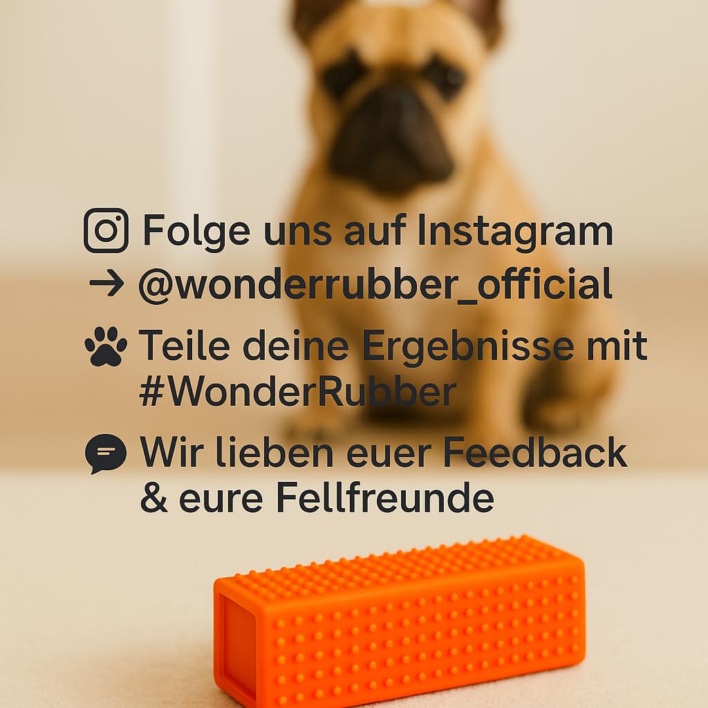 WonderRubber Tierhaarentferner für Hunde & Katzen – Haustier-Zubehör zur Entfernung von Tierhaaren auf Sofa, Teppich & Auto – wiederverwendbar