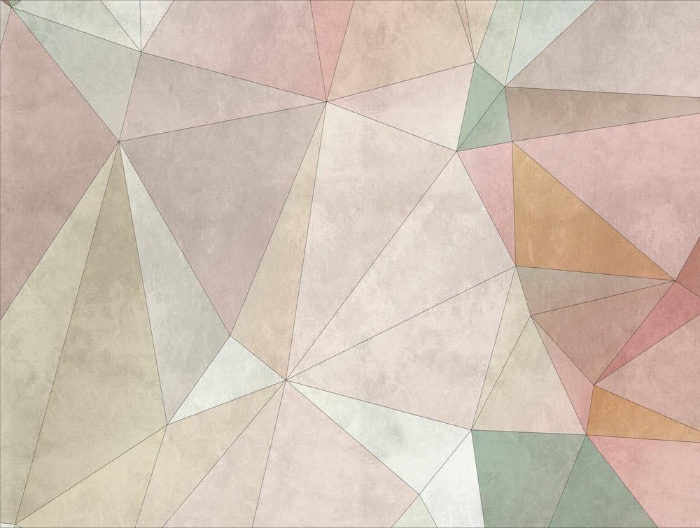 Livingwalls Geometric Wallpaper The Wall Non-Woven Wallpaper 3.71 m x 2.80 m Multicolored Beige Pink Made in Germany 382861 382861
