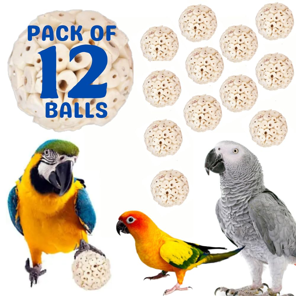Premium Natural Chew & Shred Sola Wooden Ball Bird Toy for Parrots, Parrotlets, Budgies, Finches, Macaws (Pack of 12 Balls) (12)-image-42