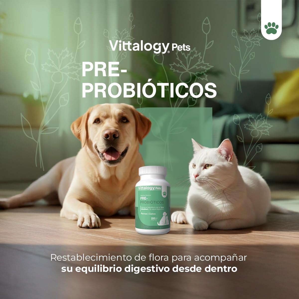 Pre Y Probióticos Perros Gatos Vittalogy | Enterococcus Faecium FOS Y Psyllium | Equilibrio Digestivo Y Restablecimiento De Flora | Fórmula En Polvo De Uso Diario