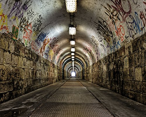 Wall Rogues WR50554 Graffiti Tunnel Wall Mural
