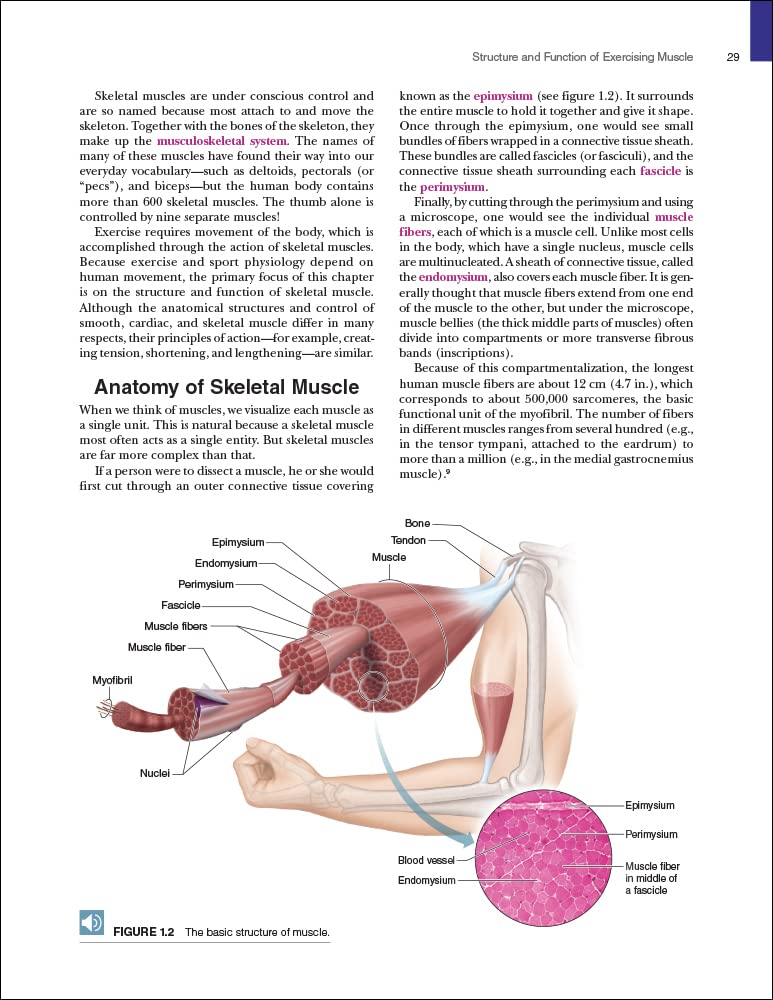 Physiology of Sport and Exercise