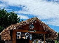 Review Image by John Manuel John Manuel