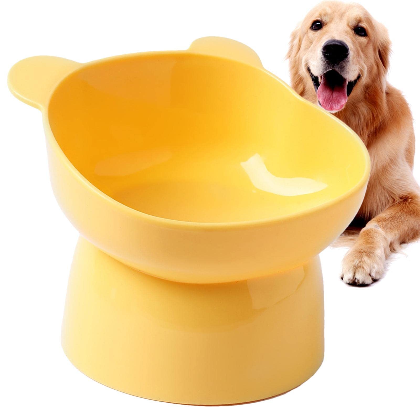 Rianpesn Tilted Cat Food Bowls - Tilted Elevated Feeding Dishes Water Bowls,Anti Overturning Tilted Elevated Water Bowls Feeding Dishes for Pet Cat, Puppies, Cats, Dishwasher Safe