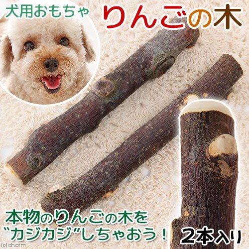 りんごの木さまの専用　犬服　ハンドメイド　小型犬 Amazon | CHARM 長野県小布施産 りんごの木 犬用 2本入