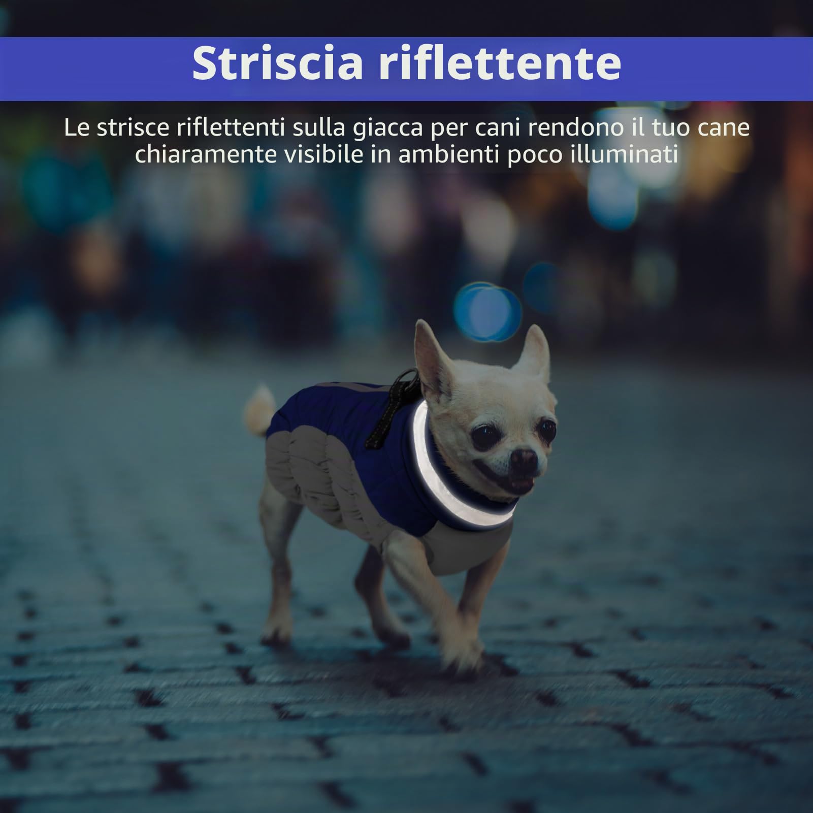 CITÉTOILE Cappotti per Cani Invernali in Pile con Imbracatura, Caldo Cappotti e Giubbotti per Cane Taglia Piccola/Media/Grande, Cappottino Impermeabile Cani, Gilet Cappotto Riflettente, Blu, M