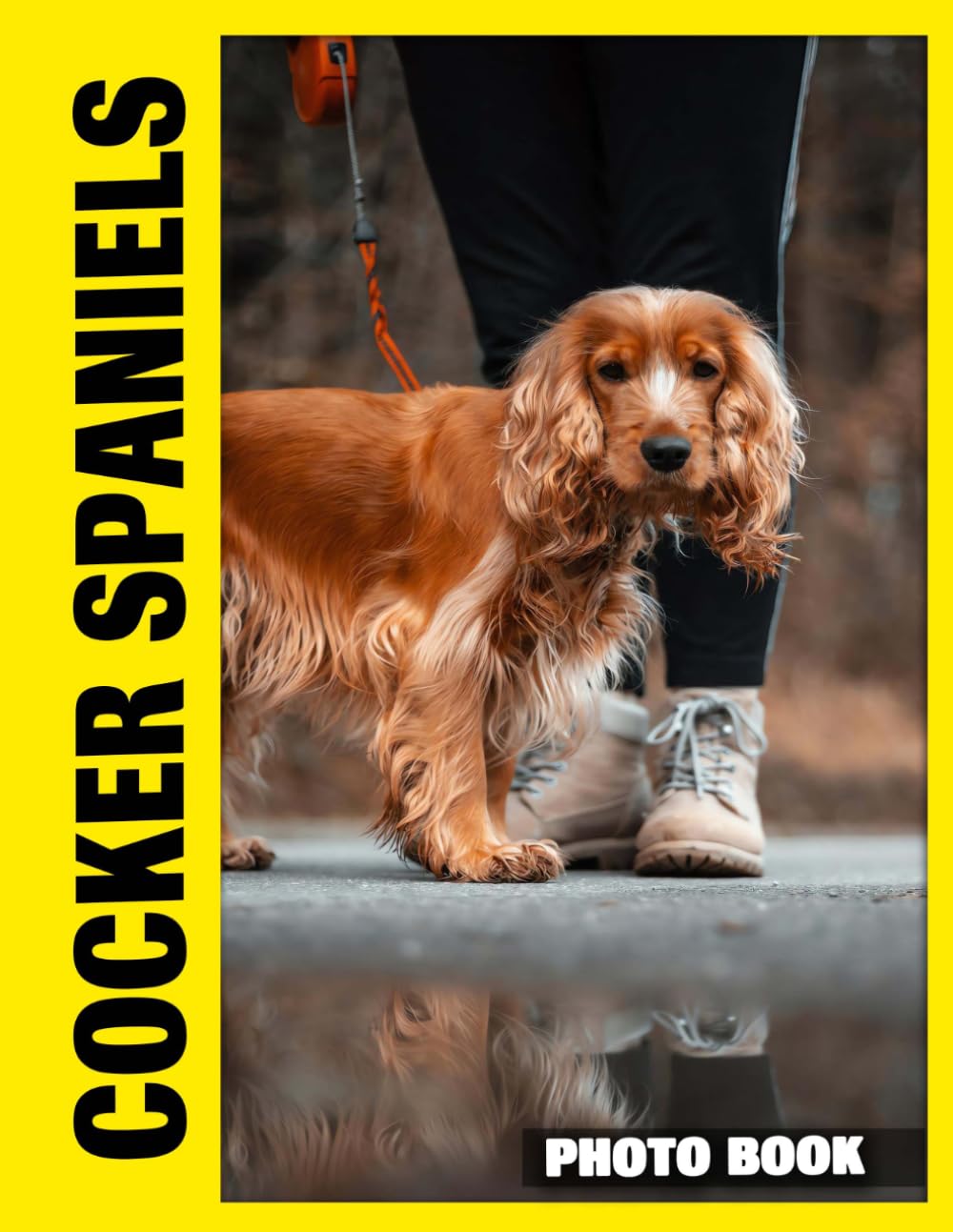 Cocker Spaniels Photo Book: Gentle Animal Moments Through Soft Photography Featuring Loyal Companions In Cozy Everyday Scenes With Natural Outdoor Settings