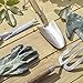 Oakenleaf 3 Piece Garden Hand Tool Set Extra Large Stainless Steel with Timber Handles Trowel Fork and Multitool