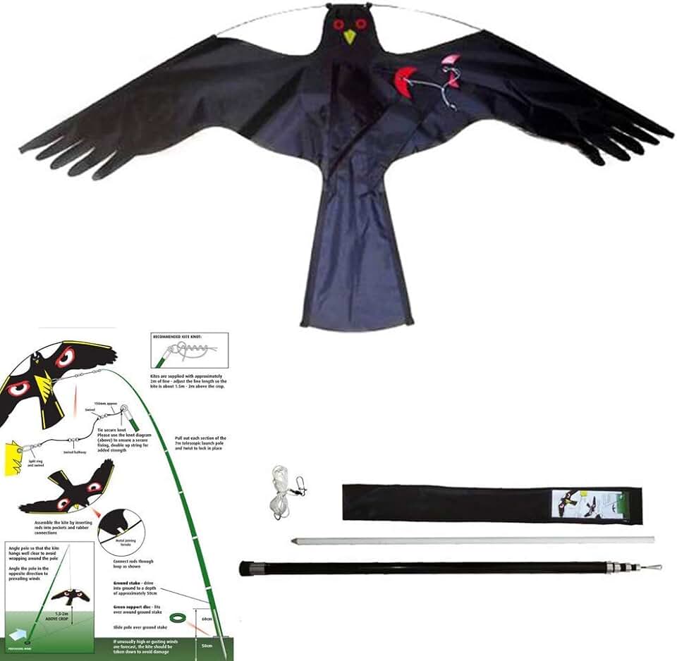 hawk decoy to scare birds away