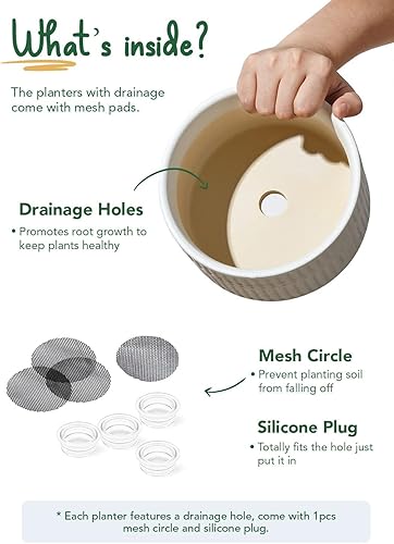 Miniatura 5 de LE TAUCI Macetas para suculentas, maceta de cerámica de interior de 6.5 + 8 pulgadas con orificio de drenaje, macetas redondas poco profundas para